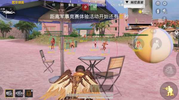 和平精英辅助【彩虹】
